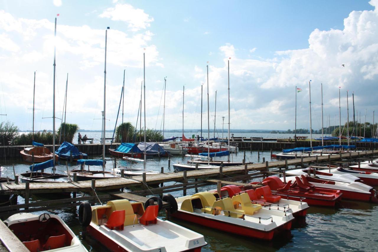 Dümmernest